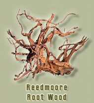 reedmoore root wood